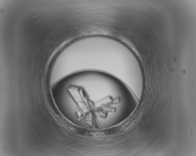 X0000080730395200612150908