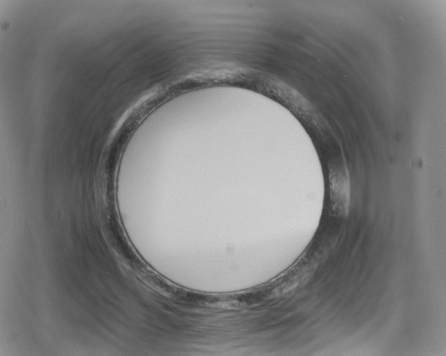 X0000080730396200612150908