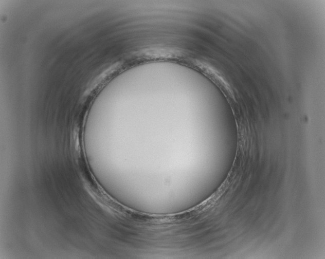 X0000080730398200612150908