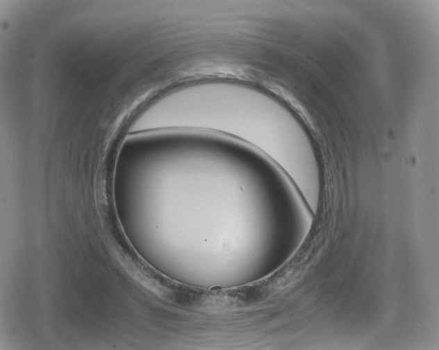 X0000080730399200612150908