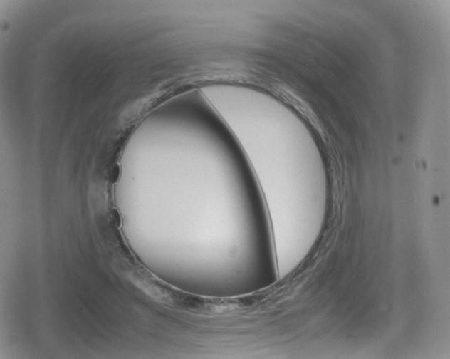 X0000080730401200612150908