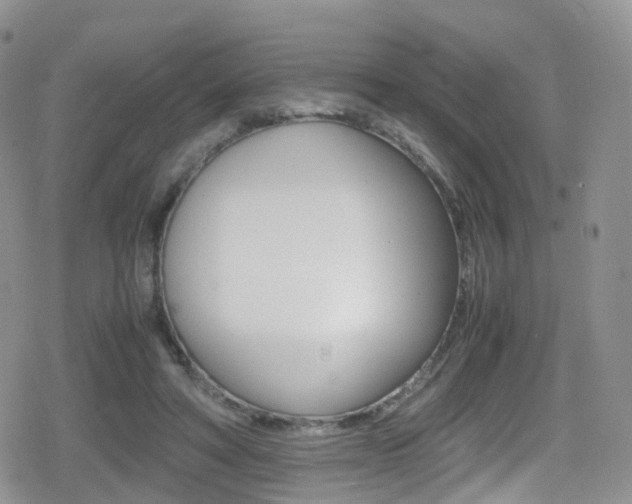 X0000080730402200612150908