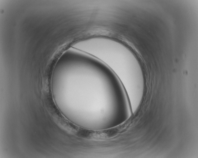 X0000080730403200612150908