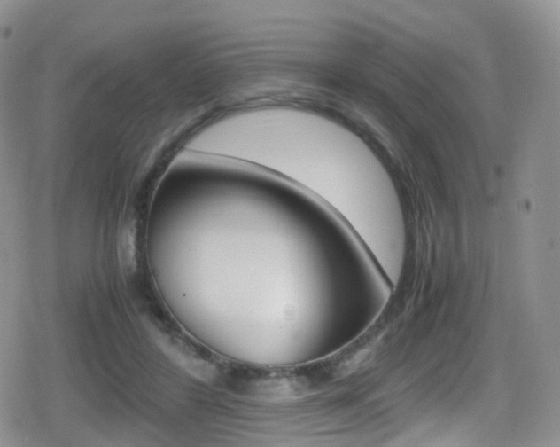 X0000080730404200612150908