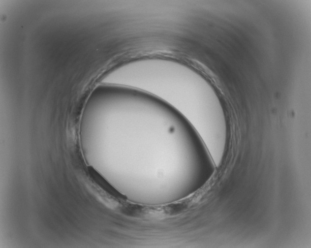 X0000080730405200612150908