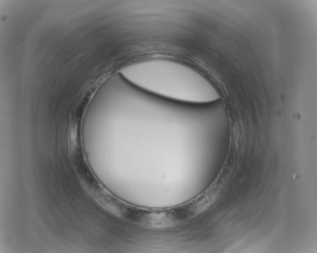 X0000080730406200612150908