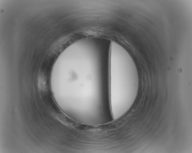 X0000080730408200612150908