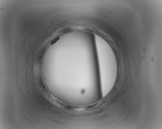 X0000080730409200612150908