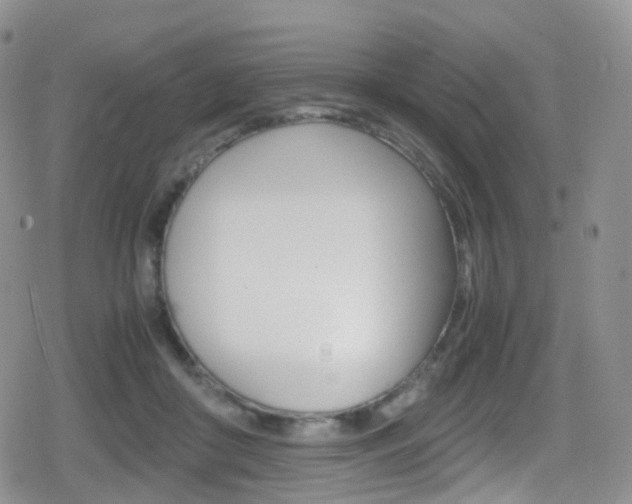 X0000080730410200612150908