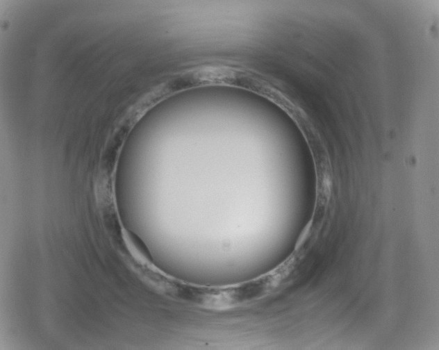 X0000080730411200612150908