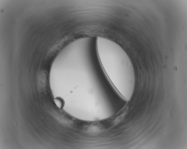 X0000080730412200612150908