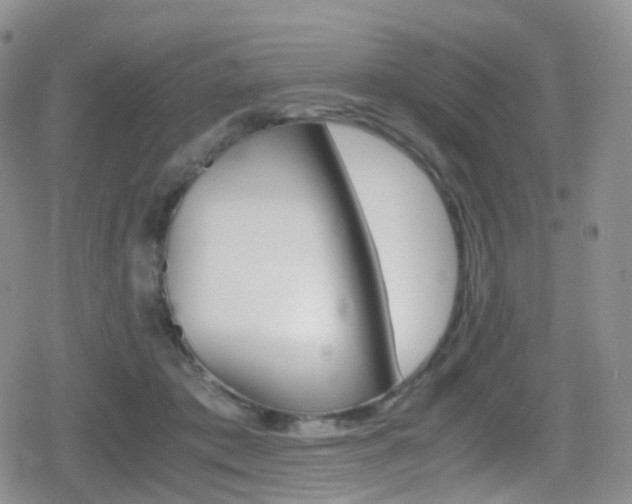 X0000080730413200612150908