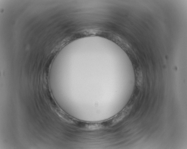 X0000080730414200612150908