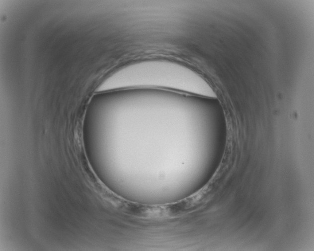 X0000080730415200612150908