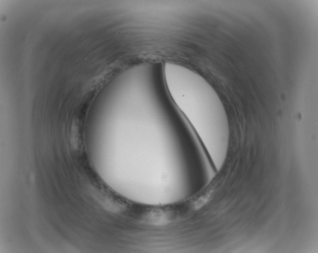 X0000080730416200612150908