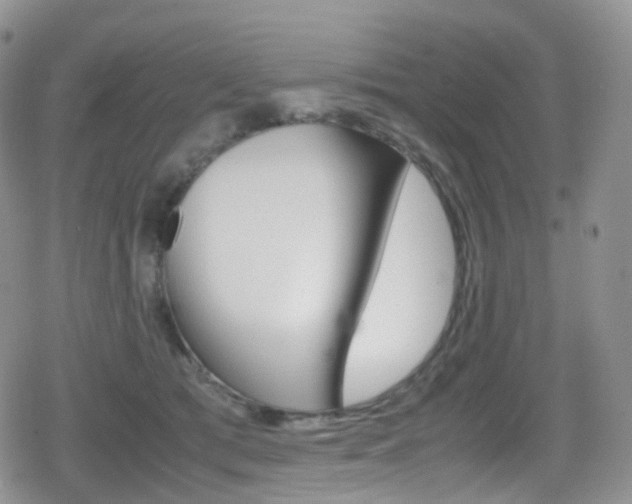 X0000080730417200612150908