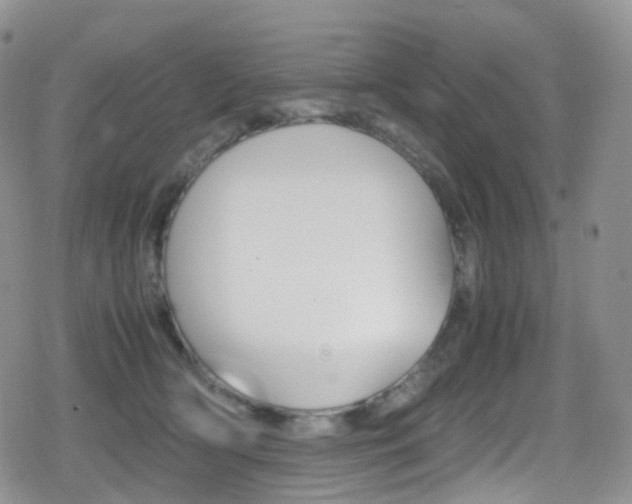 X0000080730418200612150908