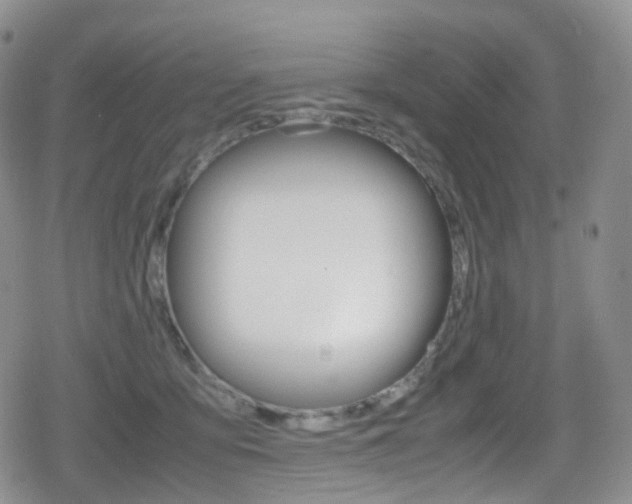 X0000080730419200612150908