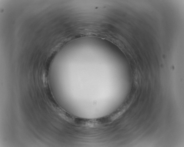 X0000080730420200612150908