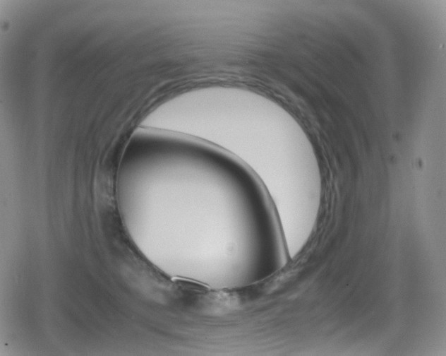 X0000080730421200612150908