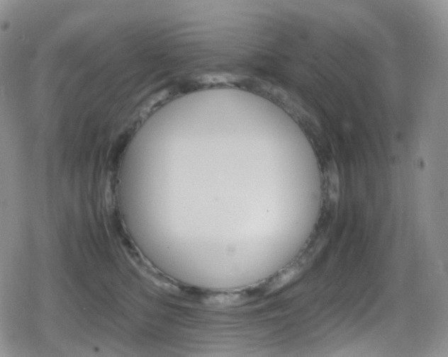 X0000080730422200612150908