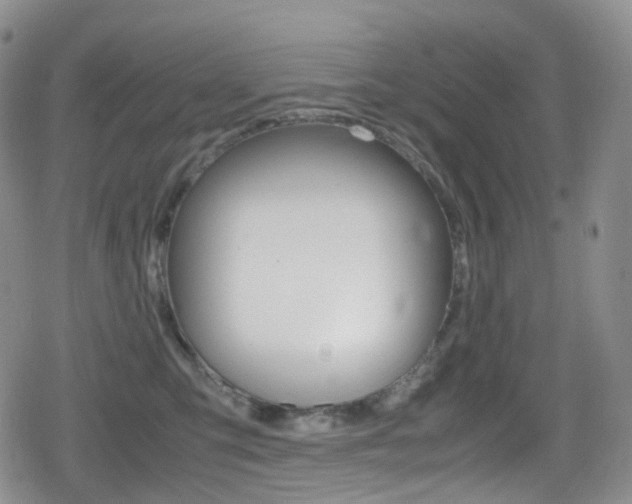 X0000080730423200612150908