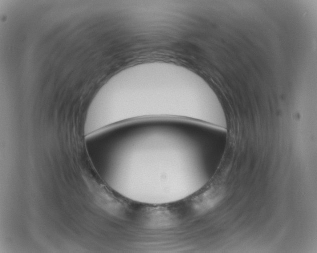 X0000080730424200612150908