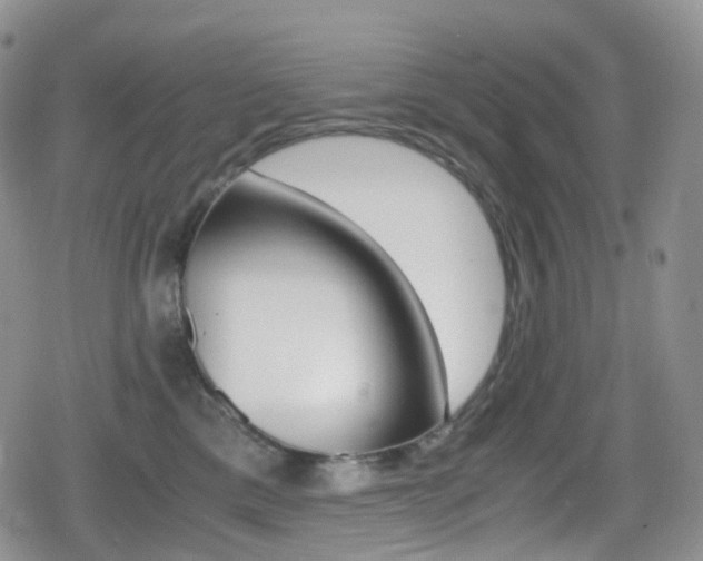 X0000080730425200612150908