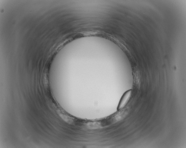 X0000080730426200612150908