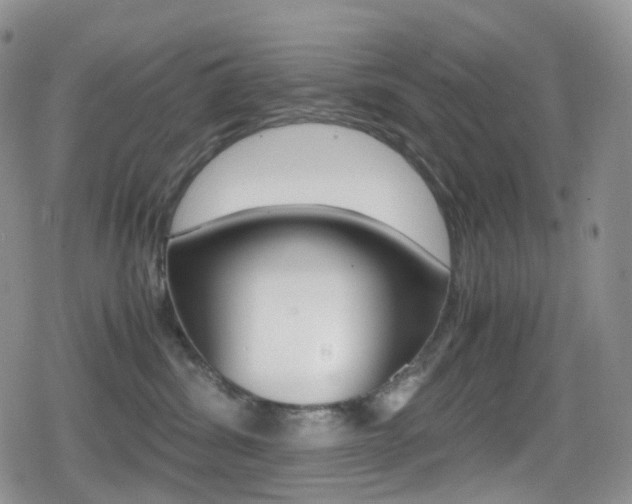 X0000080730428200612150908