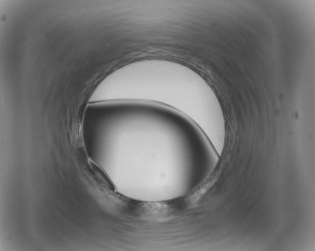 X0000080730429200612150908