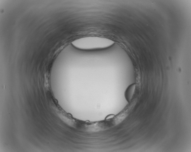 X0000080730430200612150908