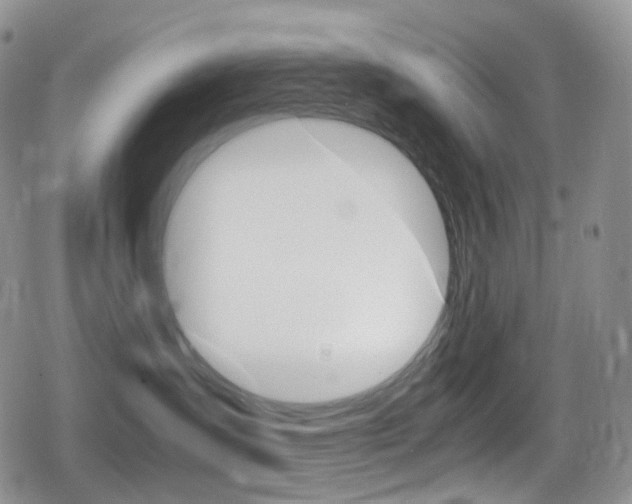 X0000080730431200612150908