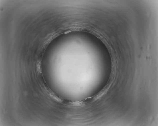 X0000080730432200612150908