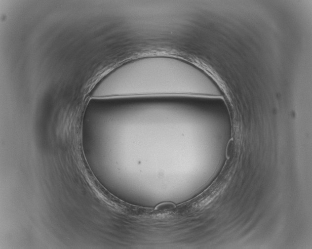 X0000080730433200612150907