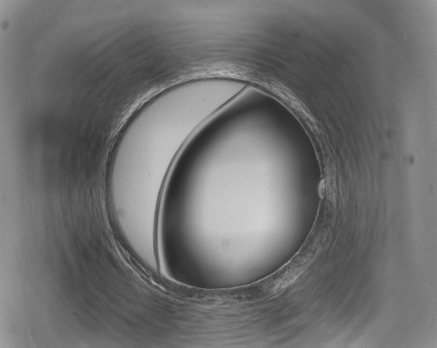 X0000080730434200612150907