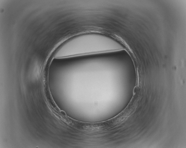 X0000080730435200612150907