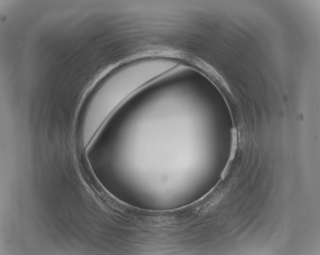 X0000080730436200612150907