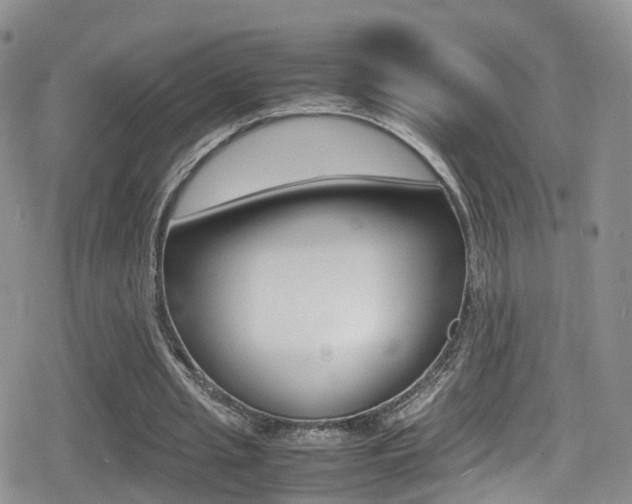 X0000080730437200612150907