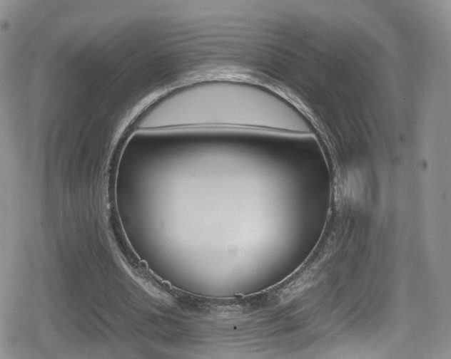 X0000080730438200612150907