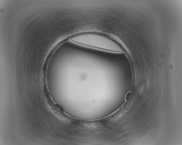 X0000080730439200612150907