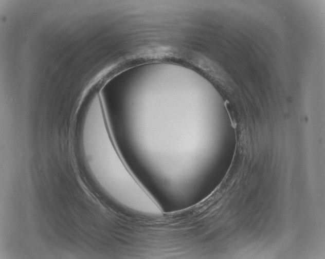 X0000080730440200612150907