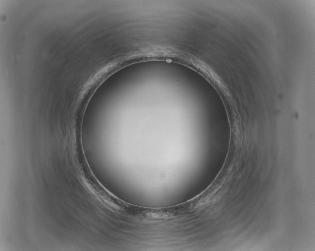 X0000080730442200612150907