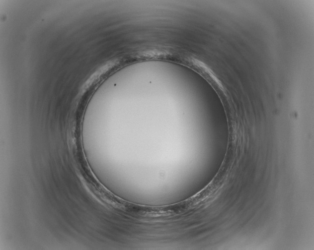 X0000080730443200612150907