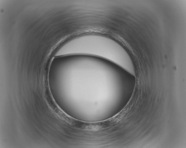 X0000080730444200612150907