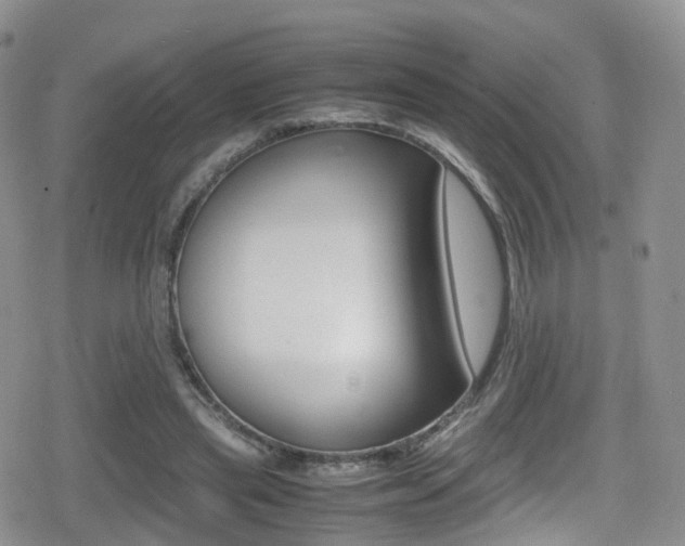 X0000080730445200612150907