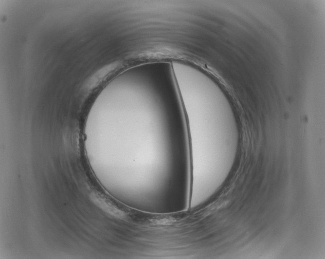 X0000080730446200612150907