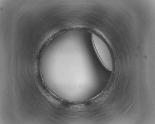 X0000080730447200612150907