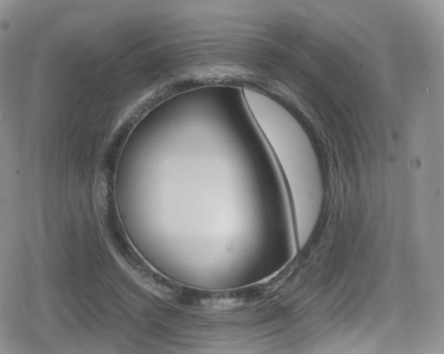 X0000080730448200612150907