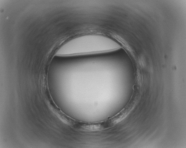 X0000080730449200612150907